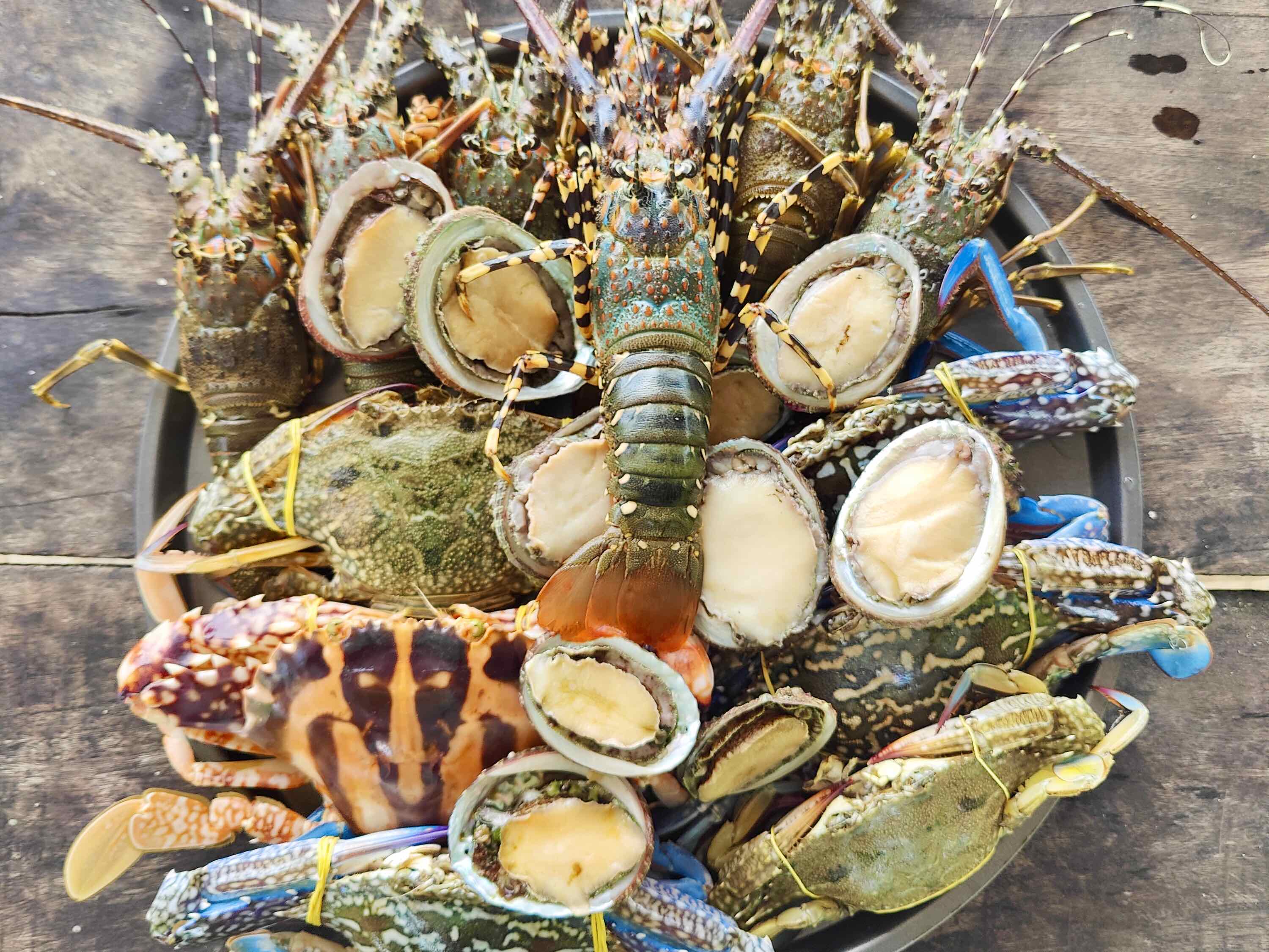 Lobster Being Prepared For The Grill